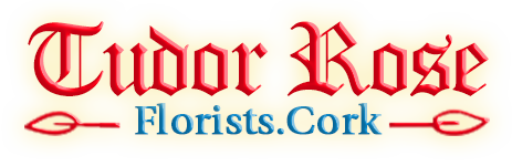 tudor-rose-florist-cork-logo
